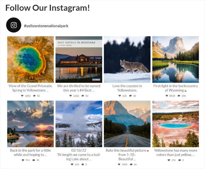 Social media sharing plugin showing active and inactive sharing buttons

